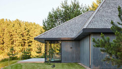 Indoor-Outdoor Homes in Lithuania: 20 Projects with Oversized Windows that Invite Nature