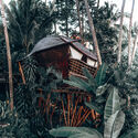 Tree House / Pablo Luna Studio - Exterior Photography, Houses, Garden, Stairs, Chair, Forest