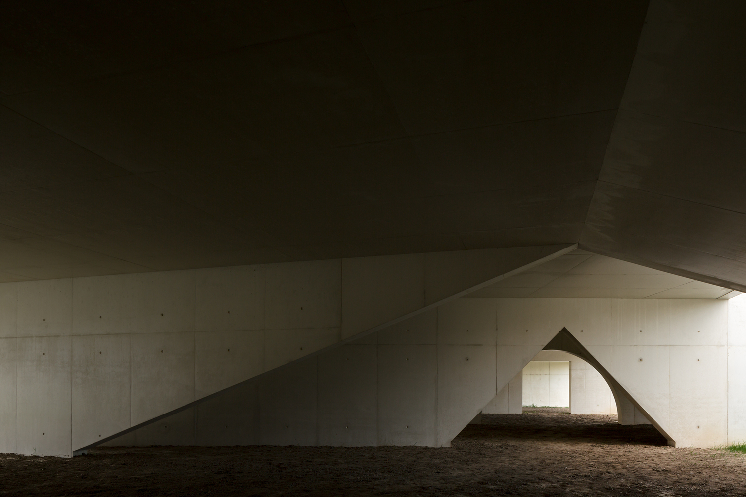 o-arquiteto-multiplo-
