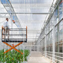 Invernadero Floriade / V8 Architects - Fotografía exterior, Otros, Fachada, Fijación Vigas, Barandas