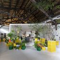 ISLAND133 Restaurant / JC. Architecture & Design - Interior Photography, Chair