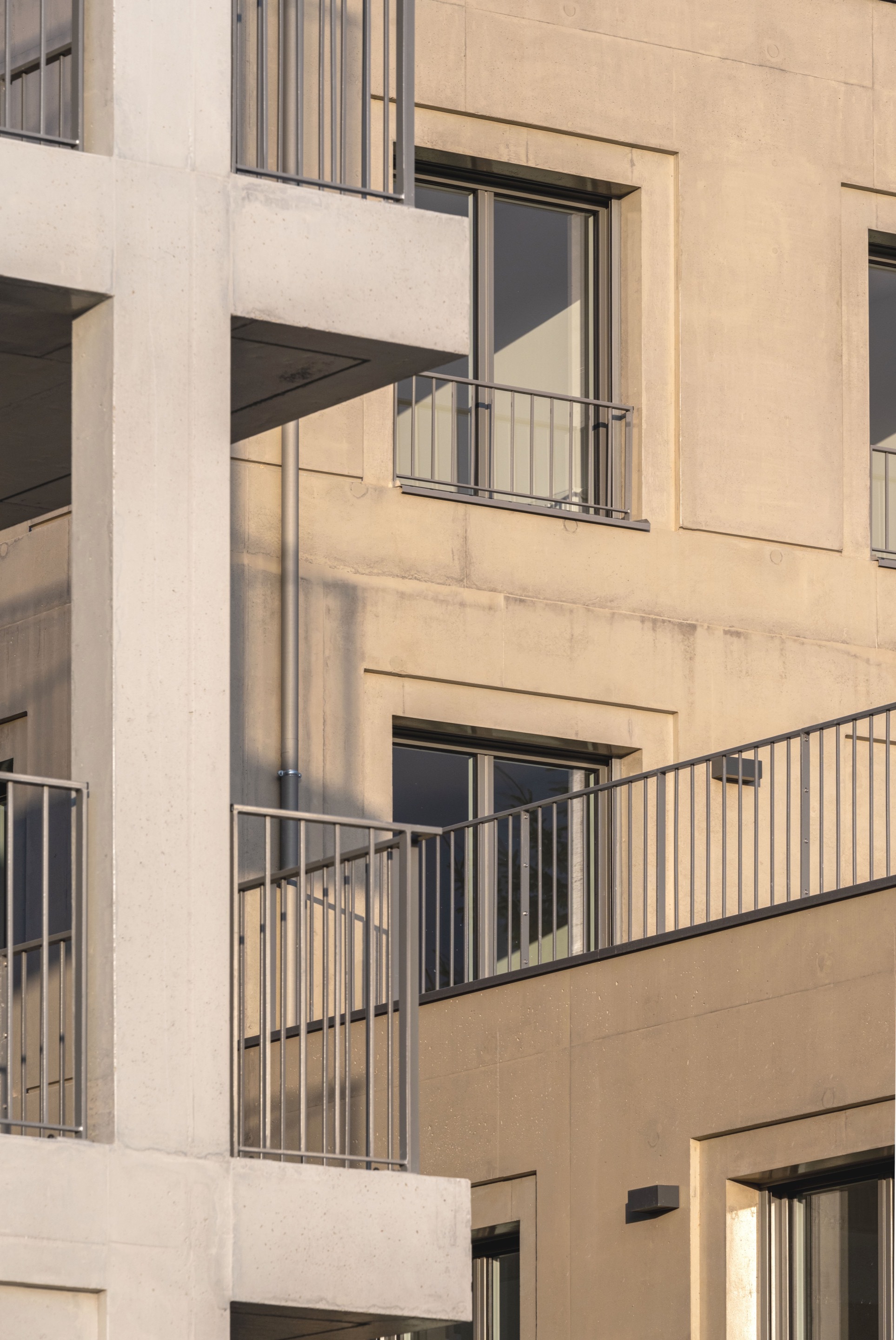 Gallery of Alma Street Housing / palast 15