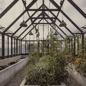 Invernadero  / COA Arquitectura - Fotografía exterior, Otras Estructuras, Jardín, Fachada, Fijación Vigas