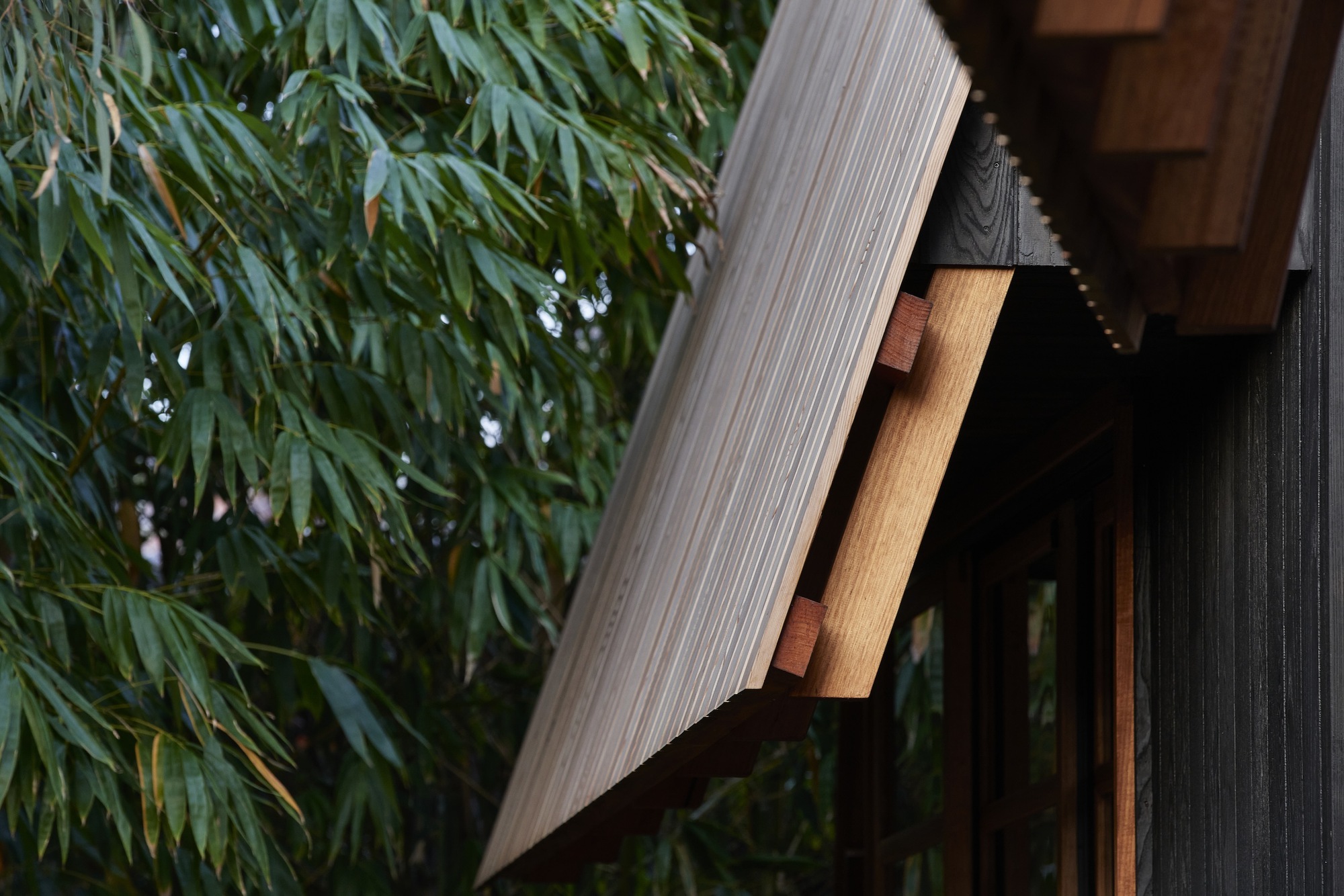 Gallery of Ember House / MRTN Architects - 22