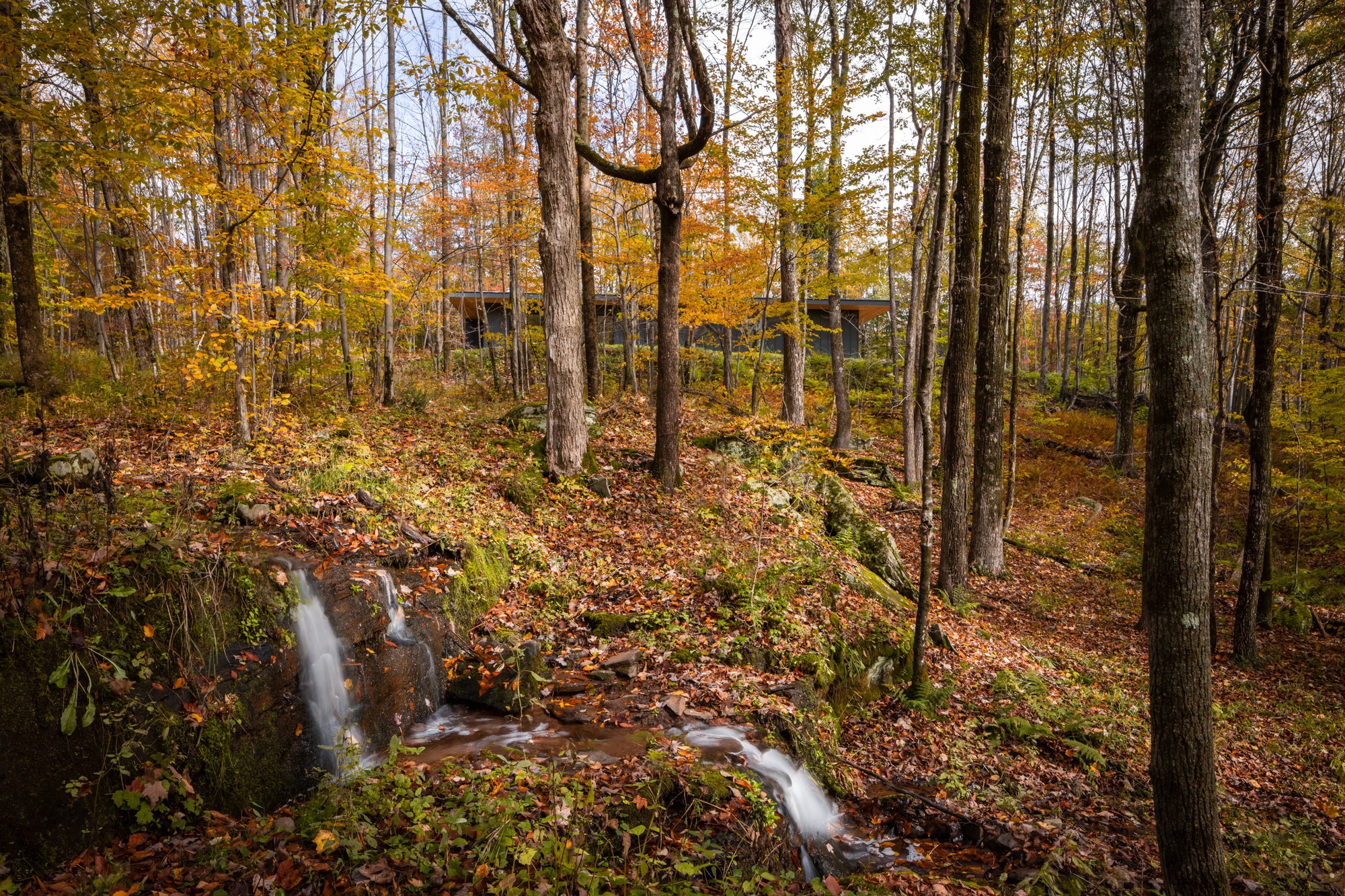 Gallery of Livingston Manor House / Marc Thorpe Design 11