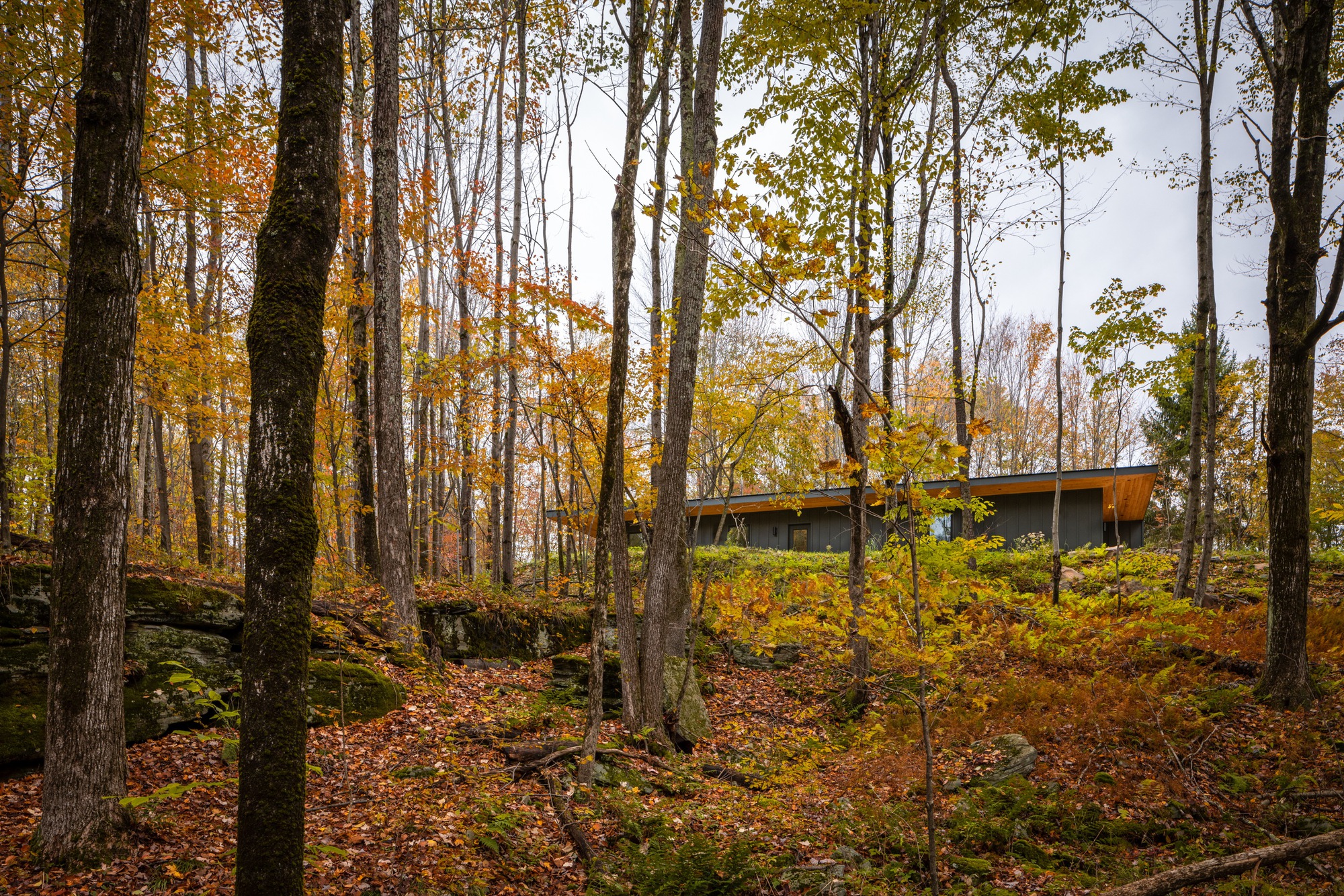 Gallery of Livingston Manor House / Marc Thorpe Design 2