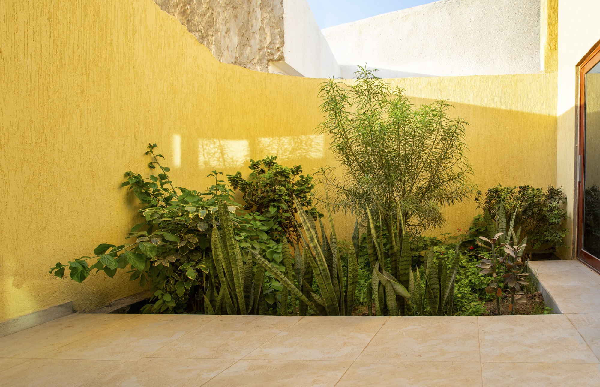 Gallery of The Wave House of Hargeisa / DO Architecture Group 4