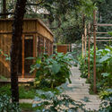 Wellness Haven / RAD co + lab - exterior photo, forest, garden
