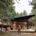 Casa del Bosque / Abel Guzman Larriva + Juan Vintimilla - Fotografía exterior, Casas