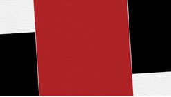 "Carlos Muniz: O Olhar Abstrato”