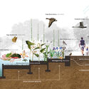 New Constitution Gardens Will Be a Biodiversity Mecca - Image 3 of 4