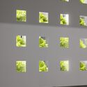 VEGESCAPE Cafe / SUBTEXT - Image 5 of 24