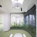 Parkway Clinic / AsNow Design & Construct - Fotografía de interiores, sillas, ventanas