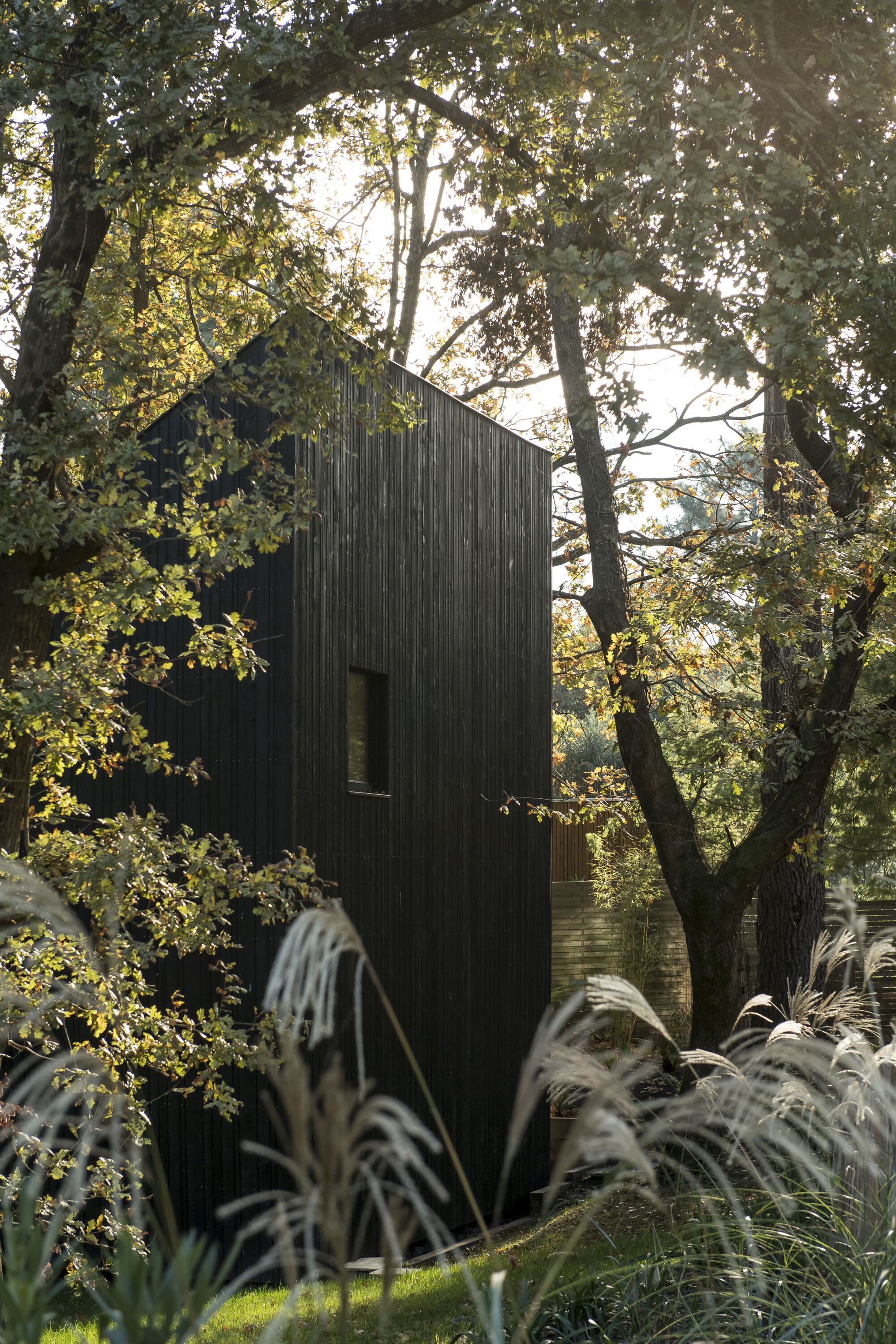 Gallery of House in the Trees / OECO Architectes - 6