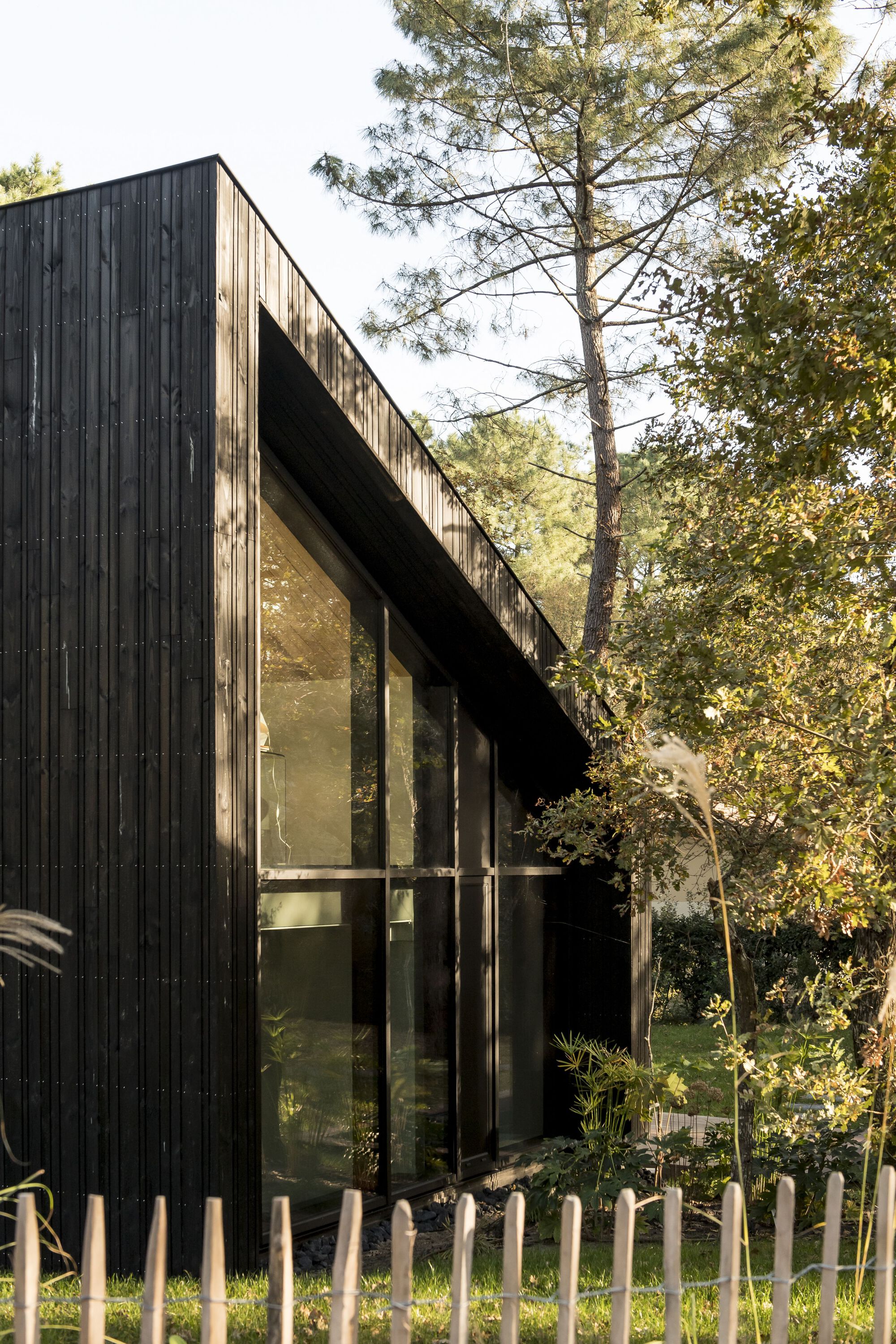 Gallery of House in the Trees / OECO Architectes - 21