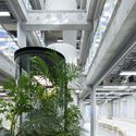 Sede de JINS Holdings en Tokio/Fumiko Takahama Architects - Figura 2 de 18