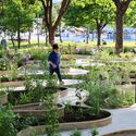 沉浸式生态韧性花园 / Changyeob Lee + Studio ReBuild - 建筑图, 公园, 花园