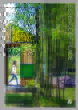 Essence of Place: Making Local Architecture