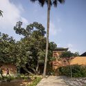 Entre casas en los árboles de mango/Estudio Enviarch - Imagen 2 de 27