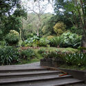 Lessons from Roberto Burle Marx: Designing Resilient and Evolving Urban Landscapes - Image 7 of 4