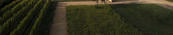 Mill Renovation and Winery Construction  / Carmen Maurice Architecture