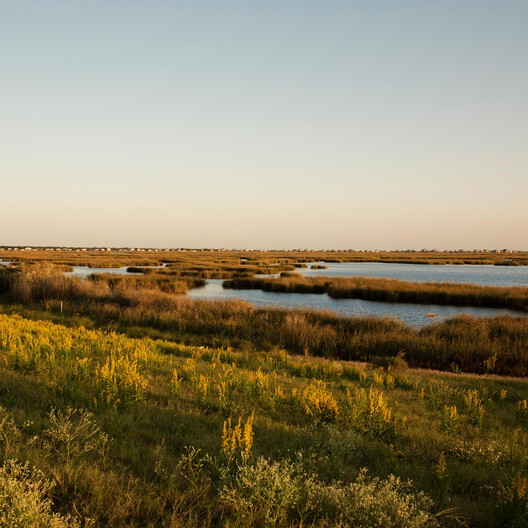 Grand Bayou, Louisiana. © Virginia Hanusik.