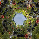 Harvard GSD Inaugurates Polinature, a Plug-In Public Space to Transform Urban Climates - Image 1 of 19