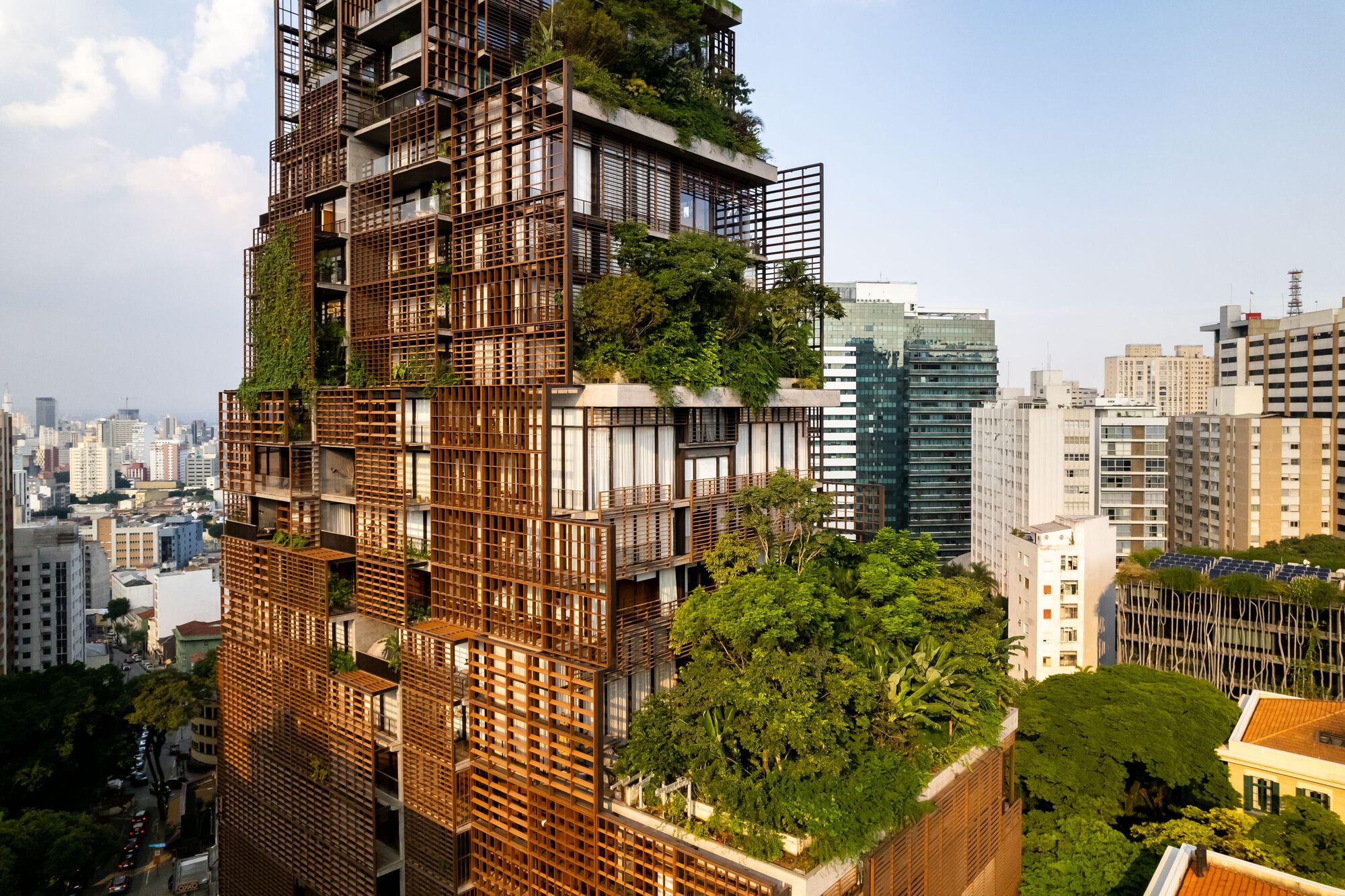 Galeria de Projeto Paisagístico da Torre Mata Atlântica / Benedito