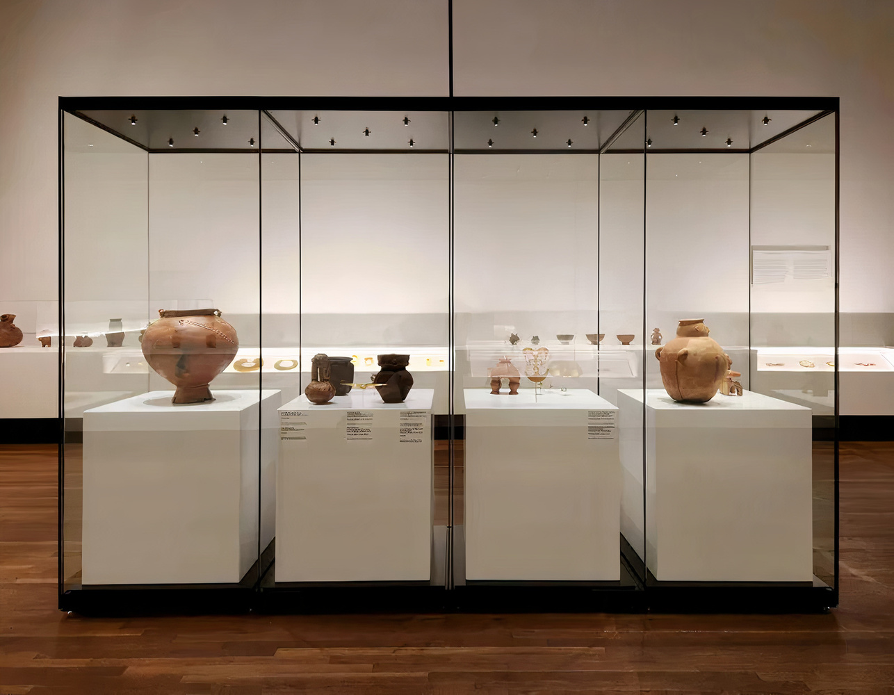 Zone Display Case System Gallery of Flexibility at Its Core for Display Case System on Museums - 2