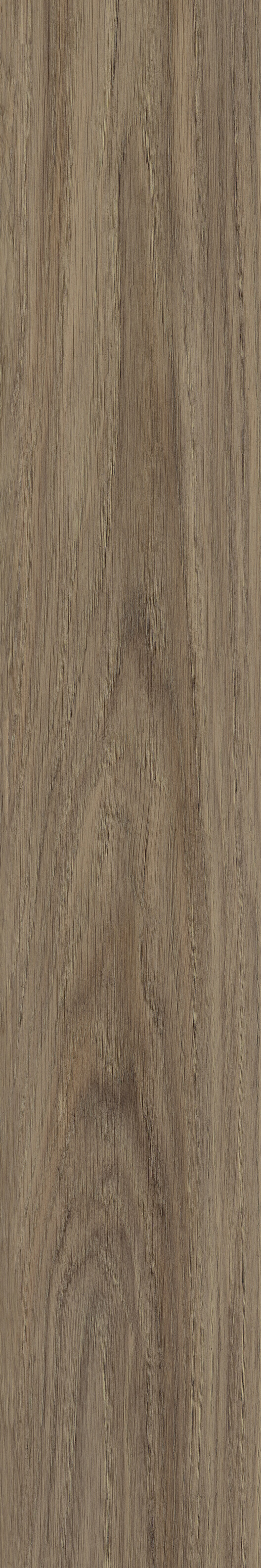 Del negro al blanco: innovando con contrastes y colores de recubrimientos en espacios interiores Del negro al blanco: innovando con contrastes y colores de recubrimientos en espacios interiores - Imagen 16 de 17