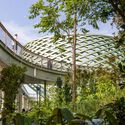 Sentosa Sensoryscape / Serie Architects + Multiply Architects - Exterior Photography, Public Architecture, Garden