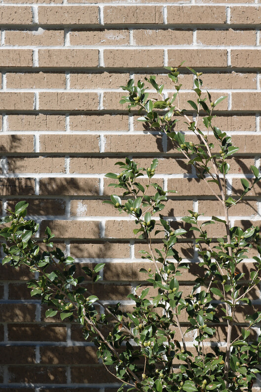 Preschool of the Arts / Boyd Architects - Image 16 of 22