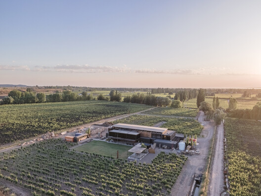 MAAL Wines  / Mora Hughes Arquitectos - Imagen 6 de 25