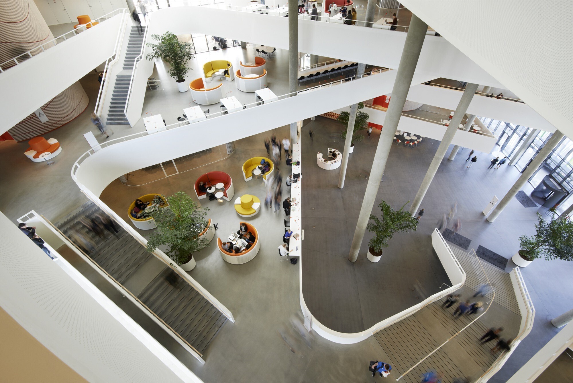 Gallery of The Science of Design: How Neuroscience can Help Architects ...