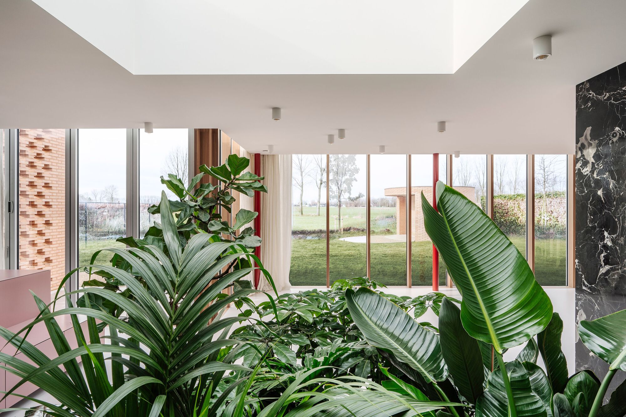 Studio Okami Gallery of Patio House / Studio Okami Architects - 5