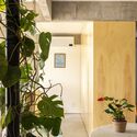 Caco Apartment / Coarquitetos - Interior Photography, Apartment Interiors