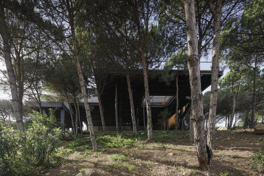 Villa Las Nubes / Flow81 - Fotografía exterior, Madera