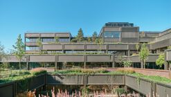 Plant Basingstoke Offices and Garden Restoration / Studio Knight Stokoe + Twelve Architects + Grant Associates + Feilden Clegg Bradley Studio