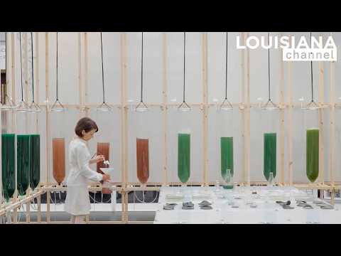 "Architecture as an Interface That Must Adapt:" ecoLogicStudio  on Nature-Inspired Urban Design in Louisiana Channel Interview - Image 5 of 5
