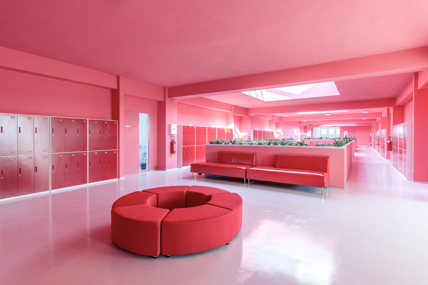 Pink as a Design Tool: Atmosphere, Identity, and Experimentation in Interior Design - Image 4 of 12