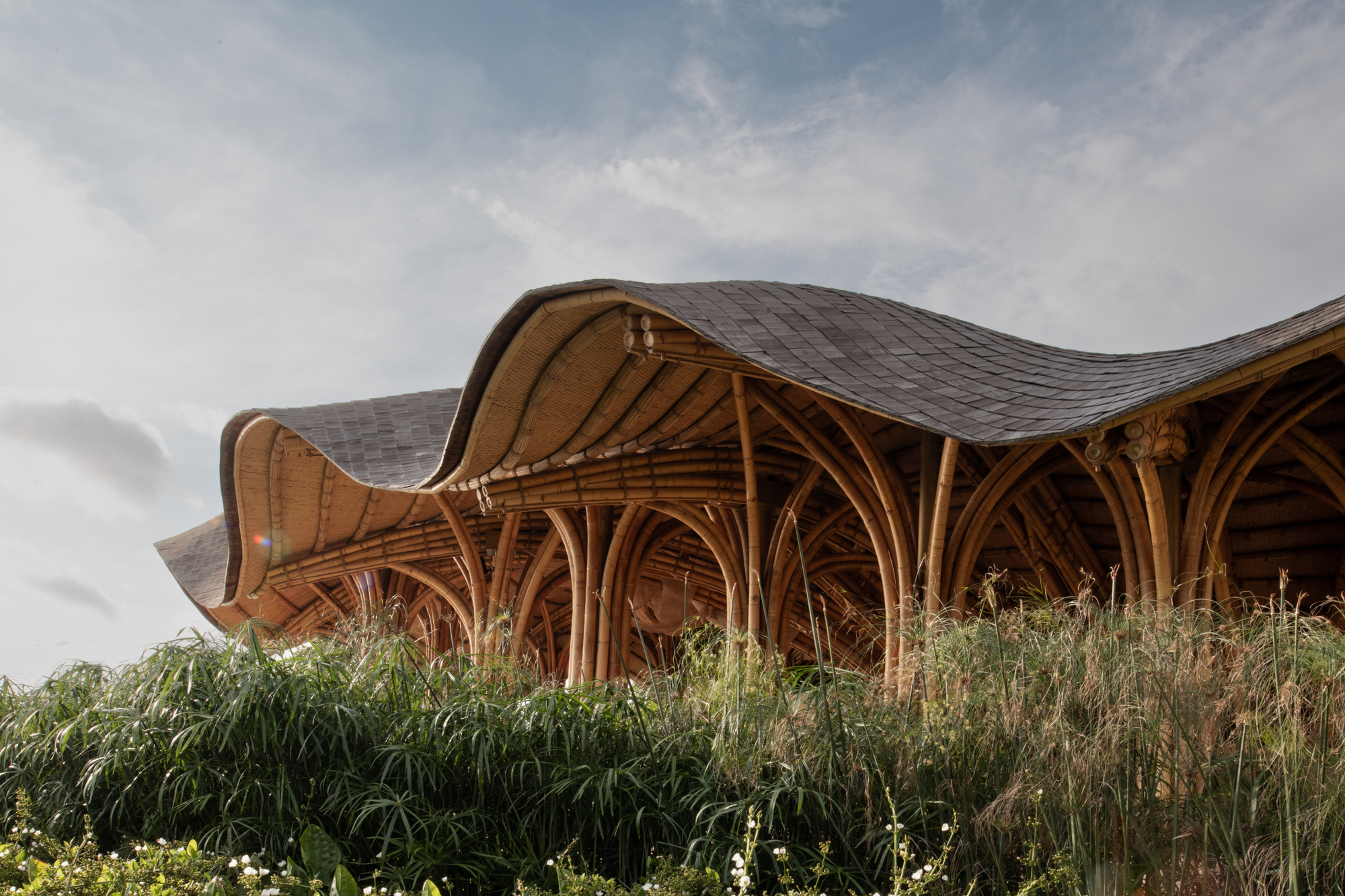 Gallery of Shell Restaurant / Pablo Luna Studio - 3