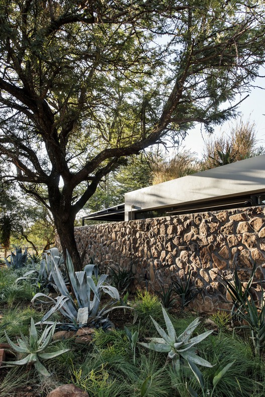 Rustenburg Farm / Nadine Engelbrecht Architect Rustenburg Farm / Nadine Engelbrecht Architect - Exterior Photography, Garden