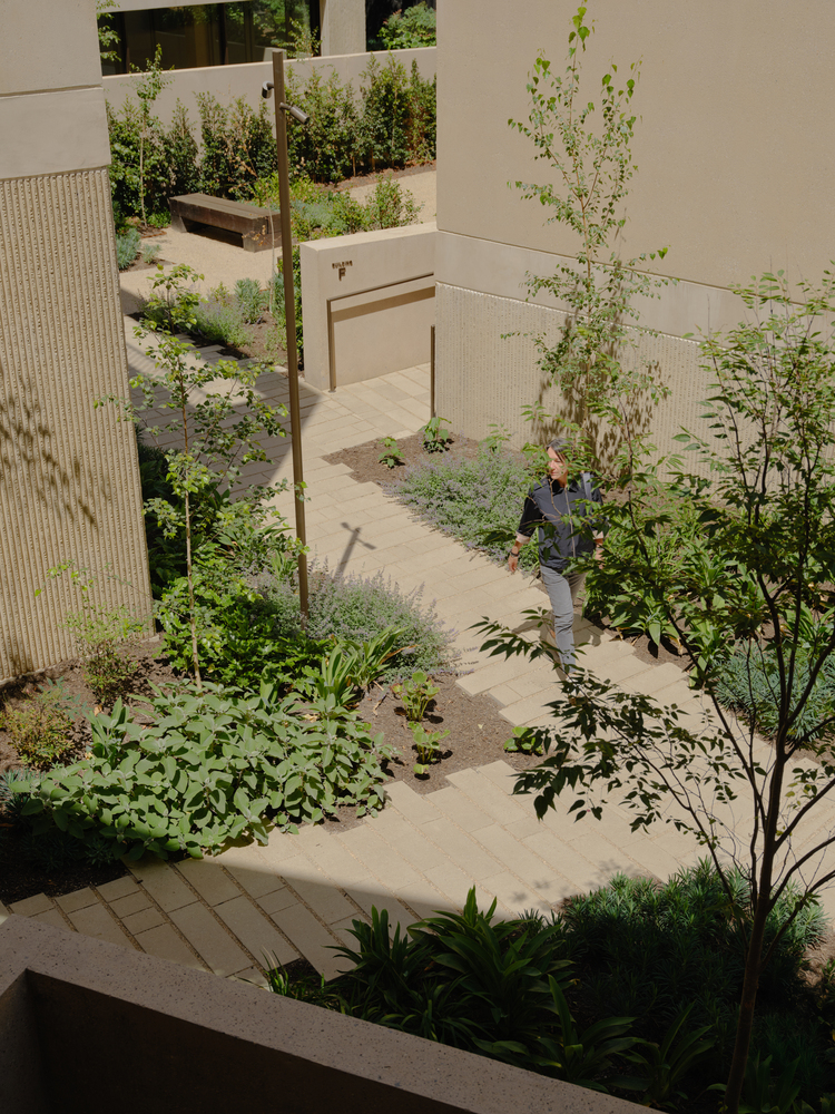 Casa Como Terraces / Carr - Fotografia de Exterior, Jardim