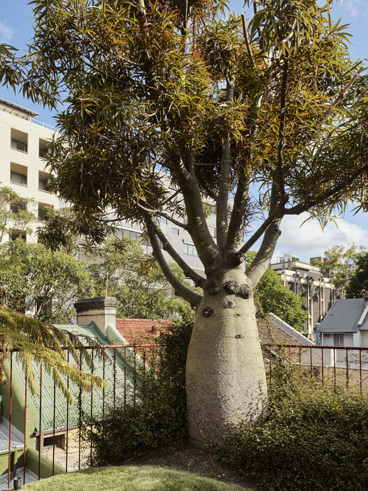 19 Waterloo Street House / SJB - Image 30 of 33
