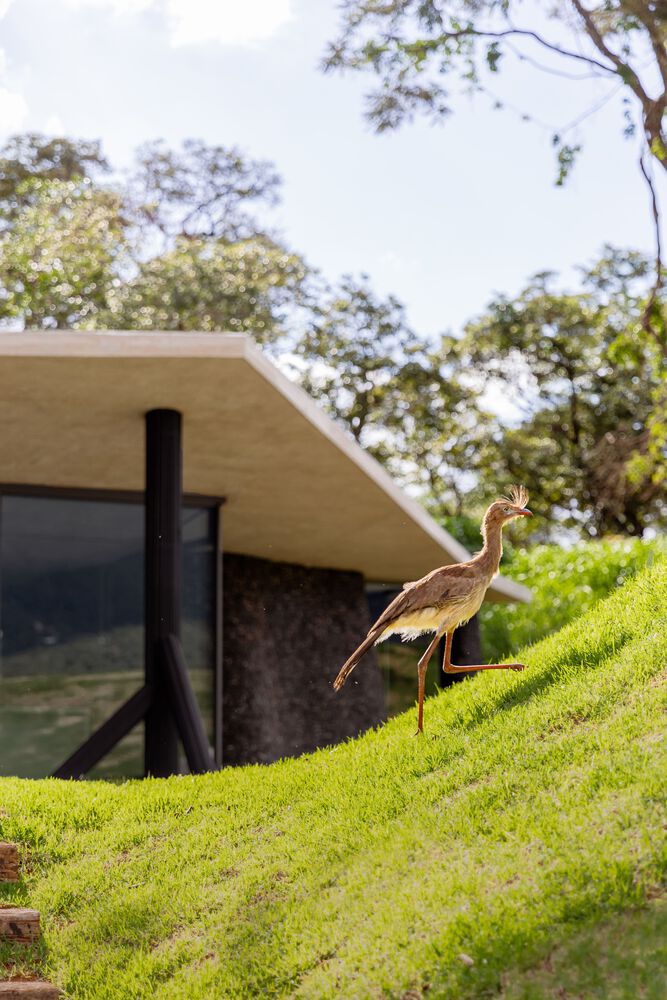 Casa Seriema  / TETRO Arquitetura - Imagem 12 de 26