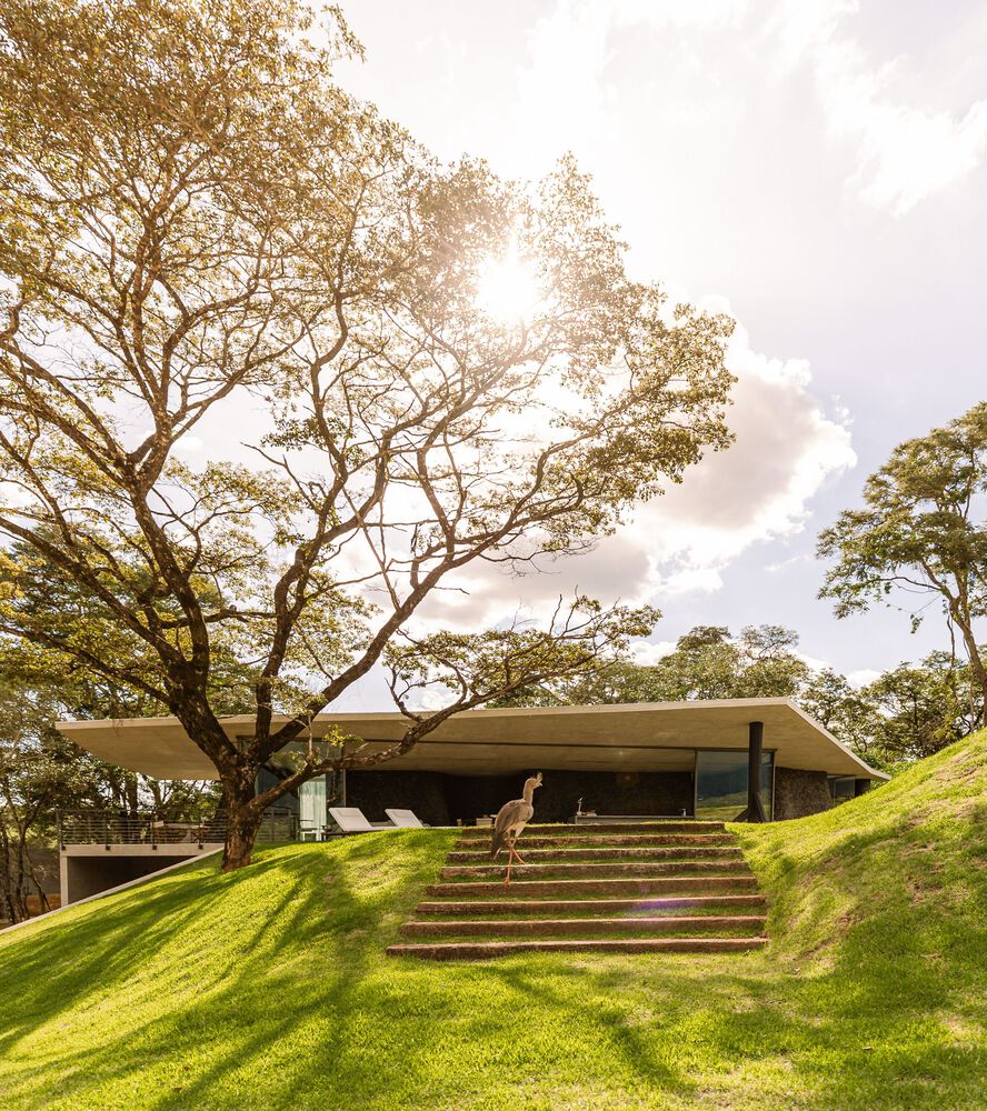 Casa Seriema  / TETRO Arquitetura - Imagem 7 de 26