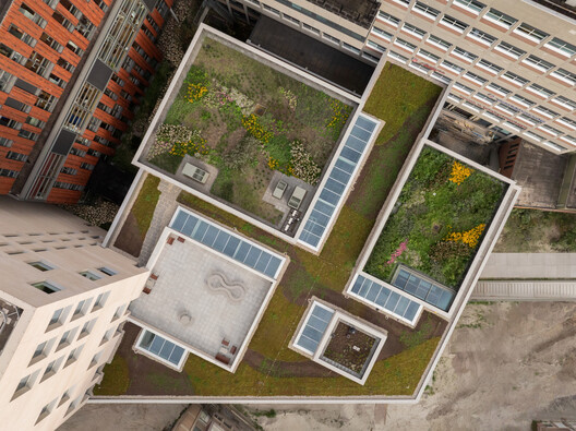 格罗宁根大学教育中心 / KAAN Architecten 格罗宁根大学教育中心 / KAAN Architecten - 室内图