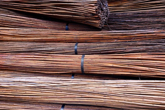 ReSidence Research Installation / Karlsruhe Institute of Technology (KIT) + FibR GmbH - Image 10 of 26