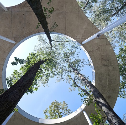 Archi/Tree/tecture: Lithuania’s Pavilion at the 2025 Venice Biennale Explores the Relationship Between Identity and Urban Nature - Image 7 of 7