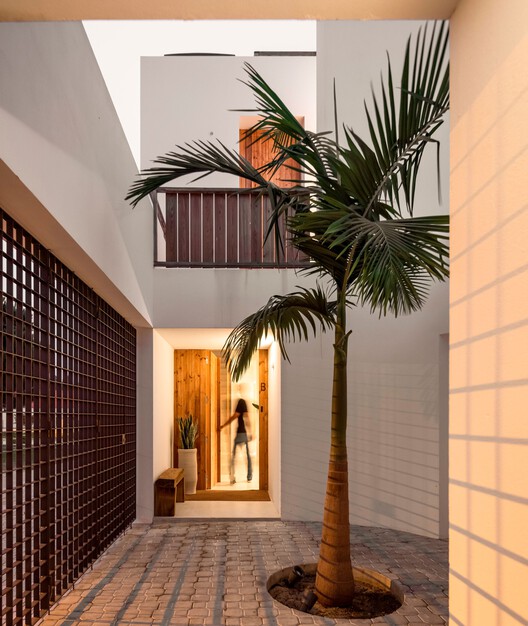 Tree House + Square House / Pereira Miguel Arquitectos + Nuno Martins Correia Tree House + Square House / Pereira Miguel Arquitectos + Nuno Martins Correia - Fotografia de Interiores, Madeira